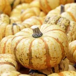 Corbetta - Festa dell'Autunno