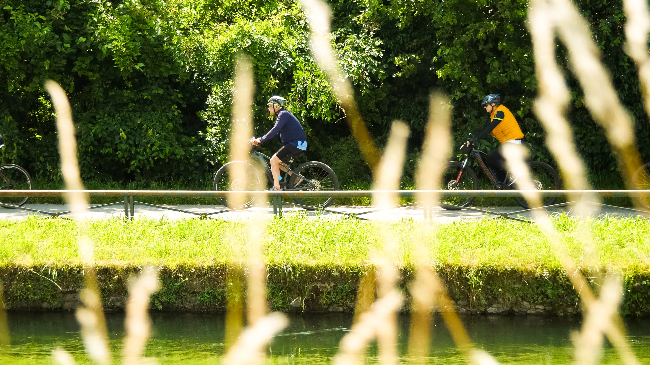 Biketour - in Bici nel Parco del Ticino - Castano Primo e Bernate