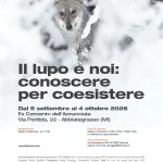 ABBIATEGRASSO >IL LUPO E NOI