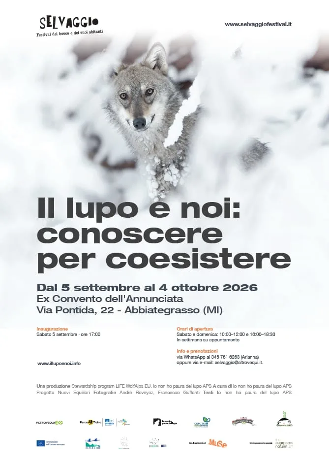 ABBIATEGRASSO >IL LUPO E NOI